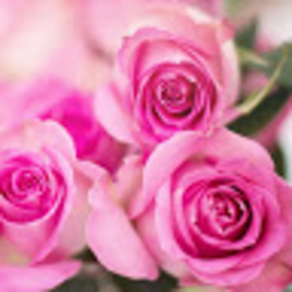 Meet your Posher, Marisol